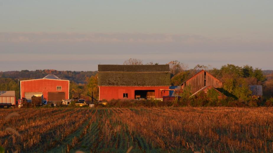 Farm buildings in a field at sunset