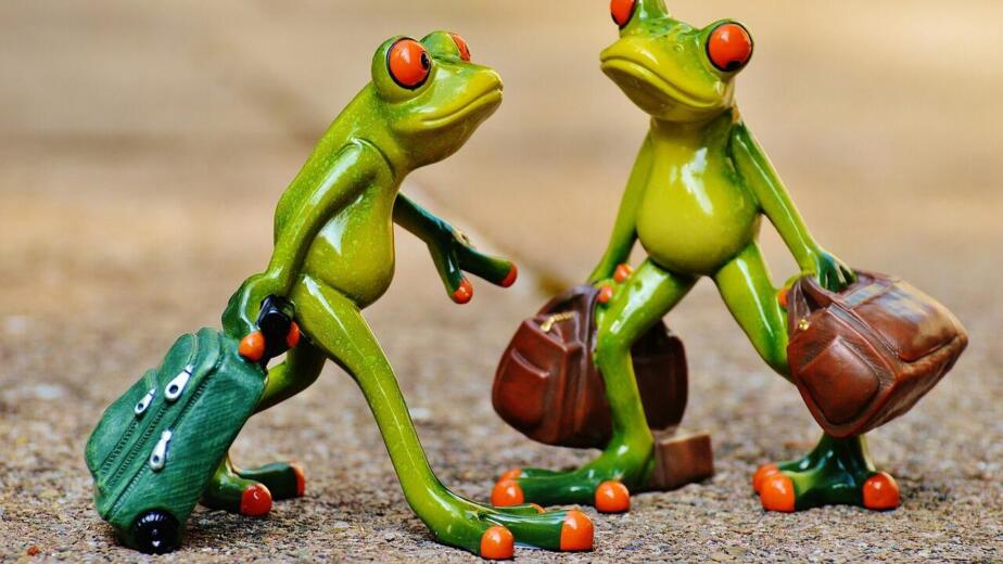 frogs, fun, travel, suitcase, travel bag, vacations, nature, frog, on the way, animal, figure, cute