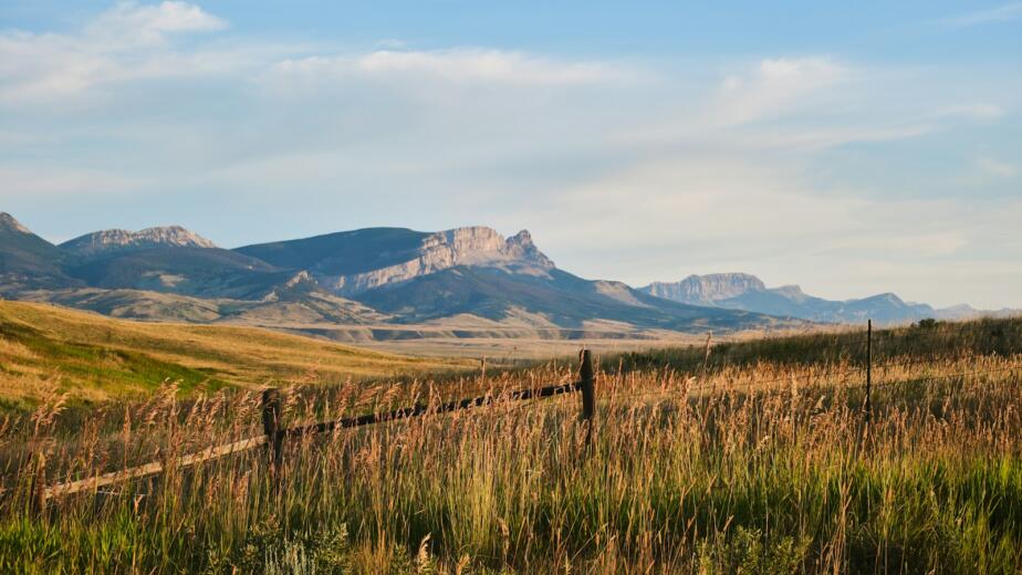 green grass field near brown mountain under blue sky during daytime