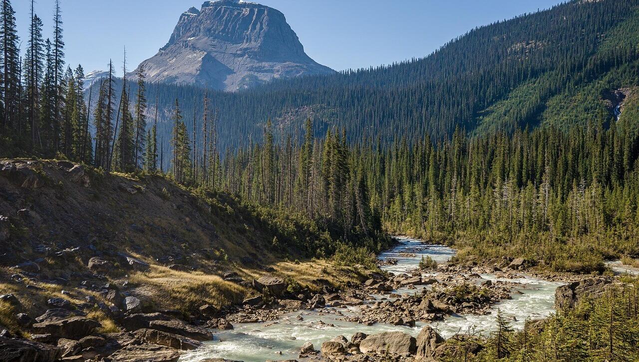 The Great National Park Debate: U.S. vs. Canada, Who Really Wins?