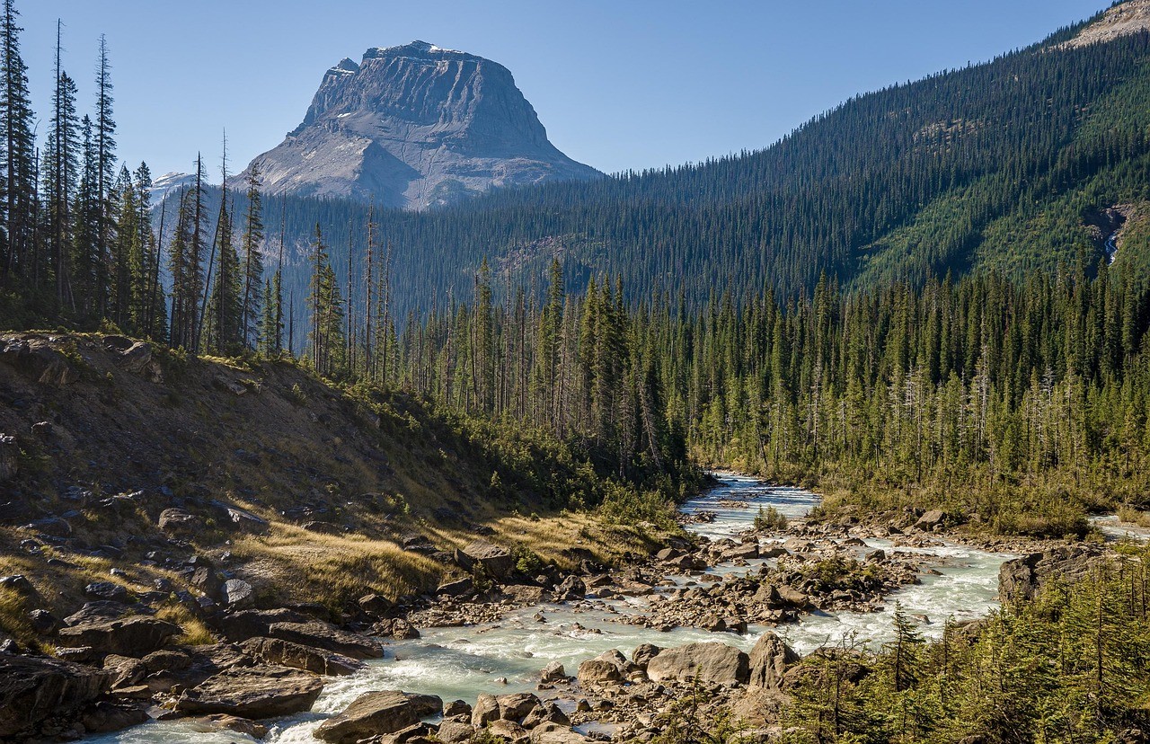 The Great National Park Debate: U.S. vs. Canada, Who Really Wins?