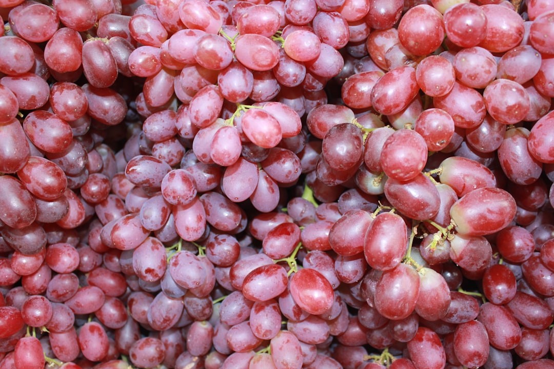 Grape Seed Extract: The Unsung Hero of Skin Health