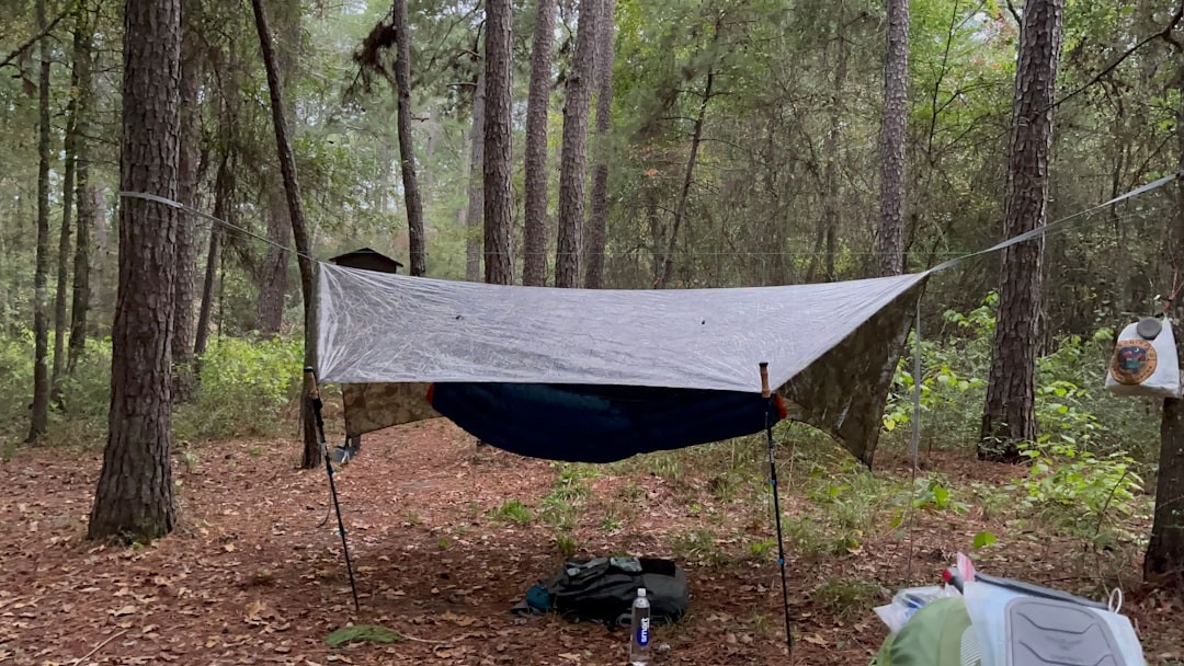 4. Emergency Shelter: Protection from the Elements