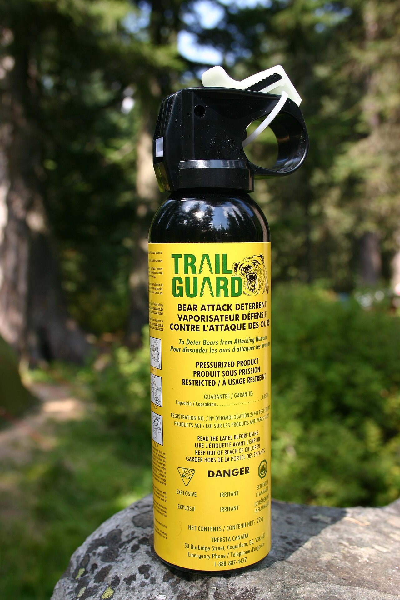 Bear Spray: For Encounters in the Wild