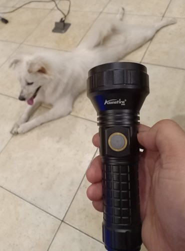 Other Self-Defense Tools and Considerations